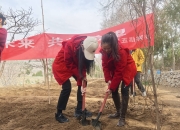 九游娱乐app官网-太阳队球员为植树造林活动出一份力的简单介绍