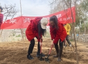 九游娱乐app官网-太阳队球员为植树造林活动出一份力的简单介绍