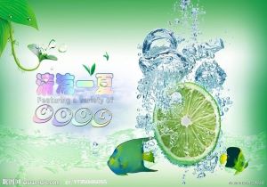 荷兰队夺冠热门，备战决赛关键时刻