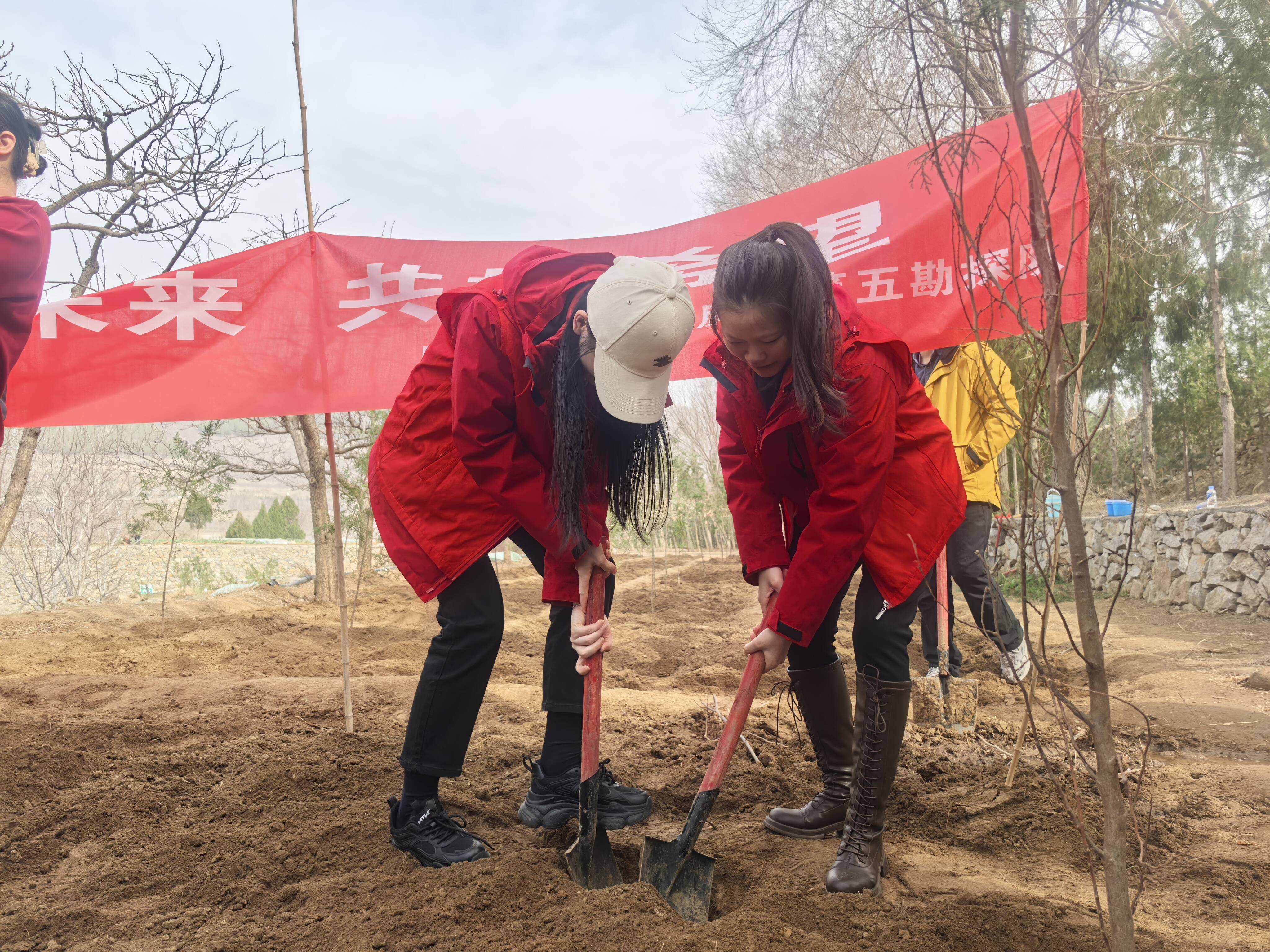 太阳队球员为植树造林活动出一份力的简单介绍