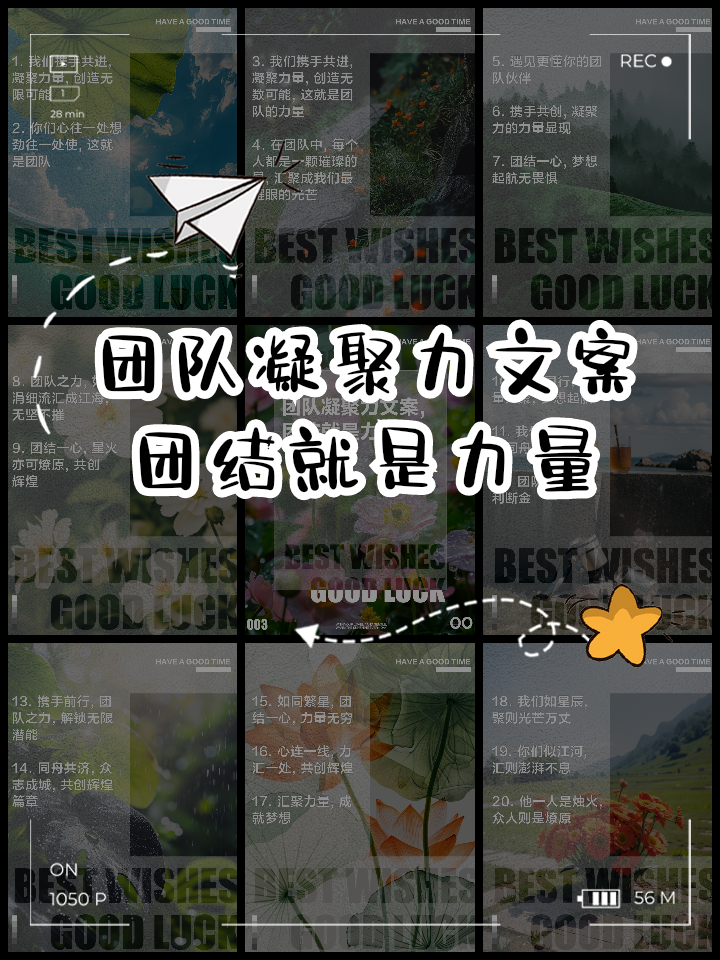 团结一心，球员们共同努力展现出团队的凝聚力的简单介绍